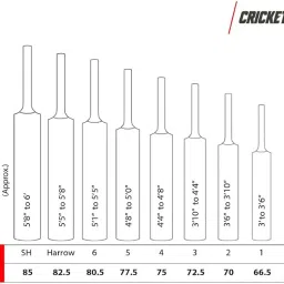 SS Orange English Willow Cricket Bat, Short Handle (Color may vary) image 4