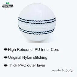 jaspo IncrediBall Soft T20 Cricket Training Ball-1 Ball Indoor/Outdoor Play and Cricket Practice (229 cm Circumference), PVC Material, Colour- White image 3