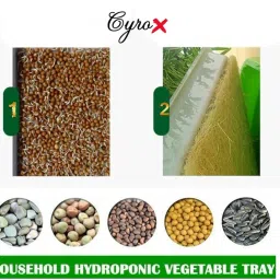 GLOWICK Reusable Seed Growing Micro Green Tray, Seedling Starter for Greenhouse, Hydroponics, Vegetables, Flower Germination, Paddy Tray, Sprouted Tray (1pcs) image 1