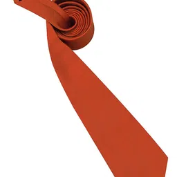 KAEZRI Men Formal Broad Necktie image 4