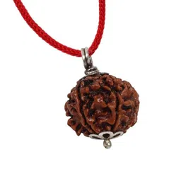 9stars 5 Mukhi Rudraksha Original Certified 15mm With Capping 5 Face Original Lord Shiva Rudra 5 मुखी रुद्राक्ष ओरिजिनल Panchmukhi Natural 5 Mukhi Nepali Rudraksha For Wearing & Pooja image 1