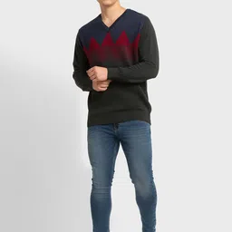 ColorPlus Geometric Self Design Long Sleeves Pullover image 5