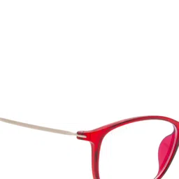 Ted Smith Unisex Full Rim Wayfarer Frames image 5