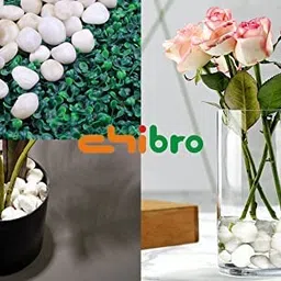 Chibro White Pebbles for Decoration - Pebbles for Plants Pots - Pebbles for Garden, Table and Home Decor, Vase Fillers (1 Kg, White Stone) image 4
