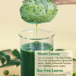 Nat Habit Set of 2 Fresh Neem Tea-Tree Anti-Acne Toning Gel - 160g image 2