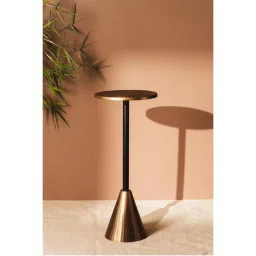 SG Home Pine Cone Chic Side Table-image-61