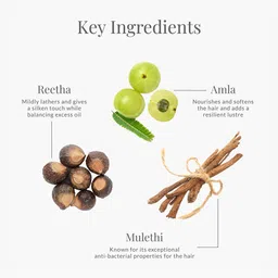 Forest Essentials Amla Honey & Mulethi Hair Cleanser 200ml & Hair Conditioner 50ml image 4