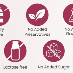 Eatery Harvest Oat Based Multigrain Vanilla Ice-Cream Flavour Instant Beverage Powder Mix 300 g(15 days serving) Daibetic Friendly, NO added sugar, Barista Beverage DAIRY FREE, Vegan, Lactose free, Makes ~ 3 litre flavoured oat milk,100% Plant-Based, Protein & Fibre rich, No Preservatives, NO added color image 3