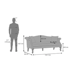 aara craft by urban ladder Darya 3 Seater Sofa In Cloudy Beige Velvet image 6