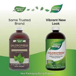 Nature's Way Chlorofresh Chlorophyll Natural Liquid (16 fl oz) image 2