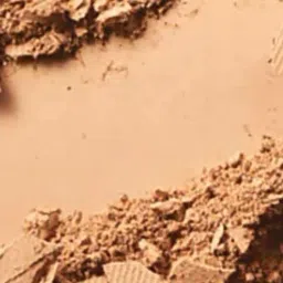 m.a.c Studio Fix Powder Plus Foundation - C4 image 2