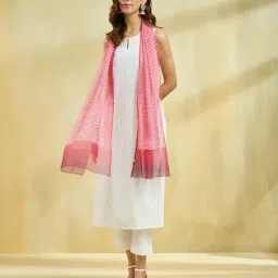 fabindia Women Chevron Stole with Contrast Border image 2