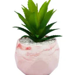 tayhaa Aloe Vera Artificial Plant with Pot image 2