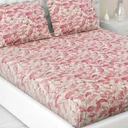 haus & kinder Cotton Printed Fitted Double Bedsheet image 2