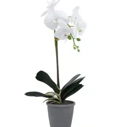 tayhaa 1 Pieces Orchid Artificial Plant With Pot image 2