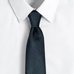 the tie hub Men Regular Western Paisley Tie image 3