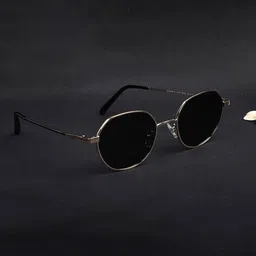 vincent chase Unisex Polarized and UV Protected Round Sunglasses -VC S14505 image 3