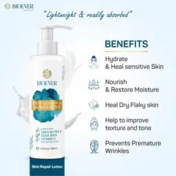 BIOEVER Body Lotion & Moisturizer with Shea Butter, Olive & Vitamin E - 250 ml image 2