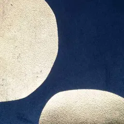 hosta homes Square Shape Velvet Cushion Covers Pack of 2  image 4