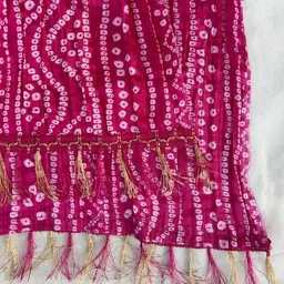 akshadeep Women Stripes Dupatta with Tassels image 5