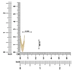 dishis Yellow Gold Mangalsutra image 5