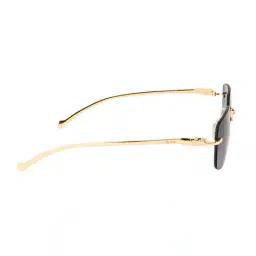 ted smith Men PANTHER-C1 UV-Protected Aviator Sunglasses image 5