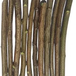 generic Natural Neem Chew Sticks Traditional Dental Care, Pack of 30 image 4
