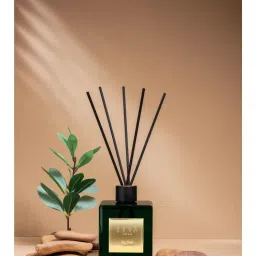 SEVA HOME Green Fig Tree 5 Fiber Rattan Reed Sticks Diffuser Room Freshener for Home-picture-14
