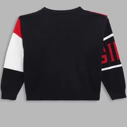 Colour-Blocked Full Sleeves  Pullover-image-22