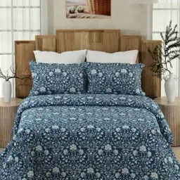 color sense 200 TC Floral Print Double Bedsheet with Pillow Covers image 1