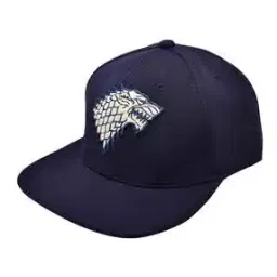 balenzia Men Embroidered Flat Cap-picture-16