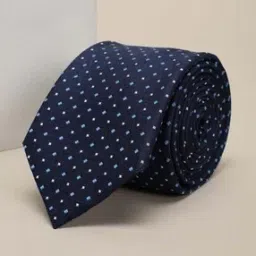 louis philippe Men Embroidery Tie-picture-12