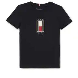 tommy hilfiger Boys Embroidered Regular Fit Round-Neck T-Shirt-picture-42