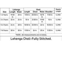 BAESD Girls Embroidered Patchwork Ready to Wear Lehenga & Blouse With Dupatta image 3