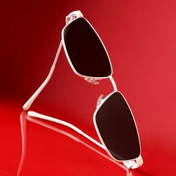 French Accent Men Shield Sunglasses with Polarised Lens FA24_HSSG2589-image-22