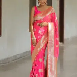 satrani Women Traditional Saree-picture-17