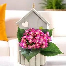 umai Artificial Hydrangea Flowers with Pot-picture-51