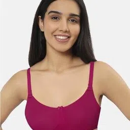 amante Non-Padded Non-Wired Full Coverage Essential Comfort T-Shirt Bra  - BRA75301-picture-24