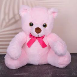 dukiekooky Teddy Bear Soft Toy-picture-29