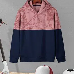 hellcat Boys Colourblock Regular Fit Hoodie -picture-53