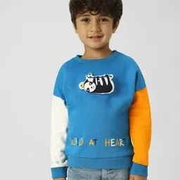 nauti nati Boys Regular Fit Sweatshirt-picture-43