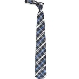 tossido Checked Microfiber Tie-picture-30