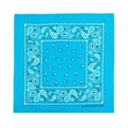 aashirwad crafts Men Printed Bandana-picture-27