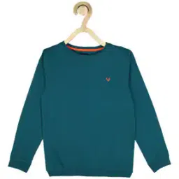 allen solly Boys Regular Fit Sweatshirt with Logo Embroidery-picture-24