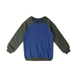 allen solly Boys Colourblock Regular Fit Sweatshirt-picture-11