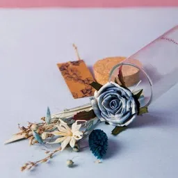 fabindia Dried Flowers Potpourri  image 1