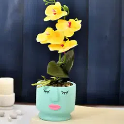 tayhaa Face Planter with Artificial Orchids-picture-26