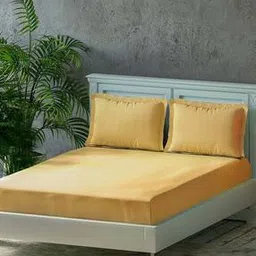 trance home linen 250 TC Queen-Size Bedsheet with Pillow Covers-picture-11