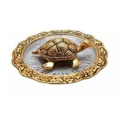 navyaksh Tortoise on Glass Plate Showpiece-picture-29