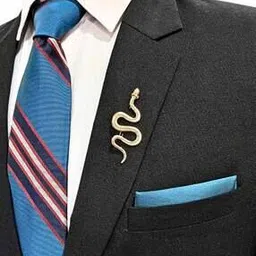 the tie hub Men Golden Serpent Brooch-picture-50